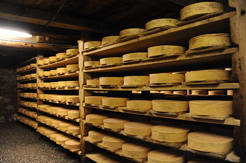 vieillissement des vacherins dans les anciennes caves de la Tzintre